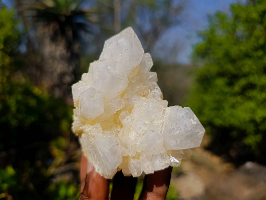 Natural Candle Quartz Clusters x 6 From Madagascar - Toprock Gemstones and Minerals 