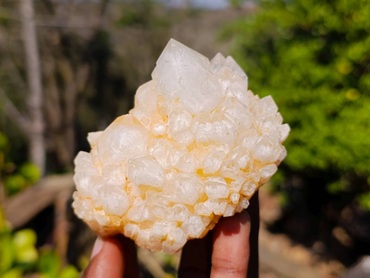 Natural Candle Quartz Clusters x 6 From Madagascar - Toprock Gemstones and Minerals 