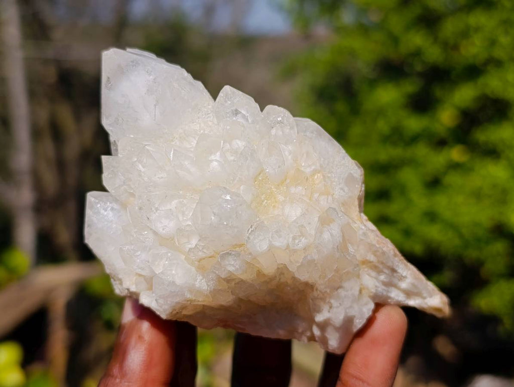 Natural Candle Quartz Clusters x 6 From Madagascar - Toprock Gemstones and Minerals 