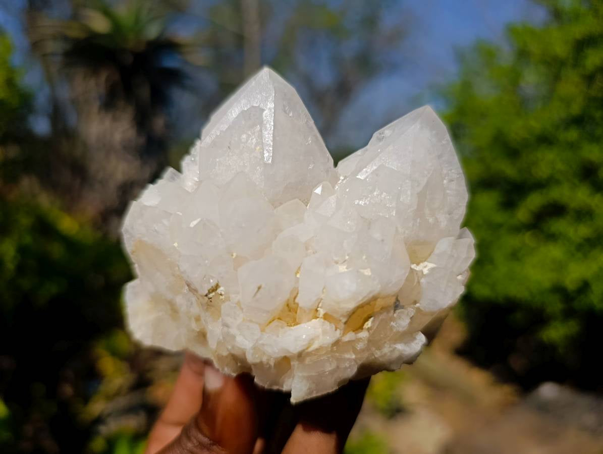 Natural Candle Quartz Clusters x 6 From Madagascar - Toprock Gemstones and Minerals 