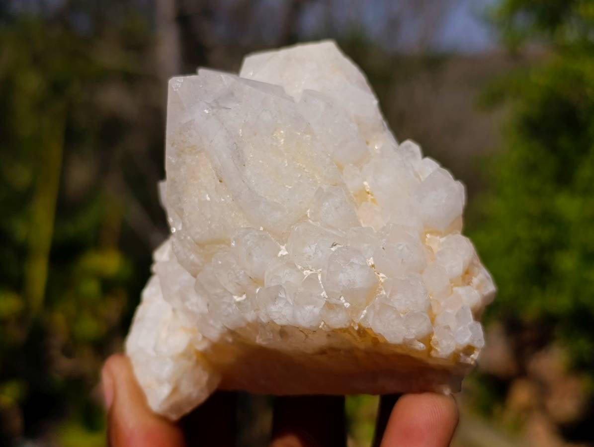 Natural Candle Quartz Clusters x 6 From Madagascar - Toprock Gemstones and Minerals 