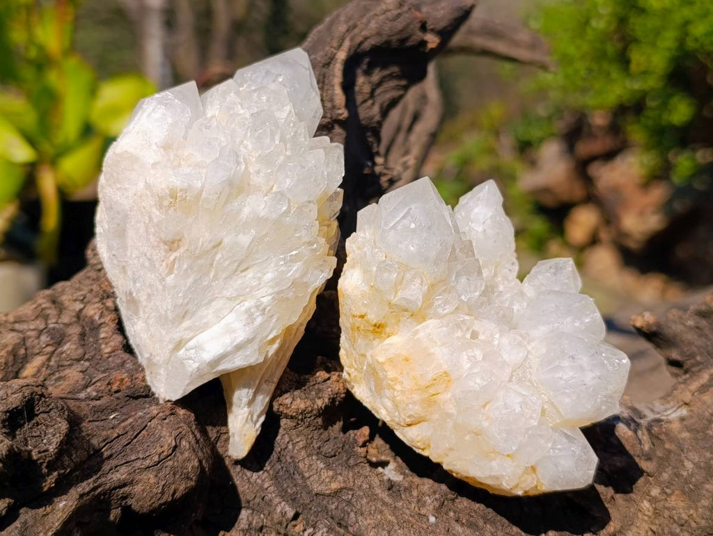 Natural Candle Quartz Clusters x 6 From Madagascar - Toprock Gemstones and Minerals 