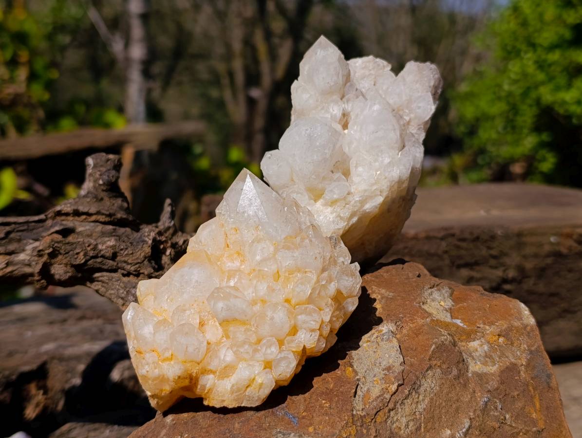 Natural Candle Quartz Clusters x 6 From Madagascar - Toprock Gemstones and Minerals 