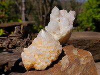 Natural Candle Quartz Clusters x 6 From Madagascar