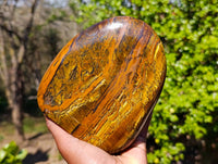 Polished Tigers Eye Standing Free Form x 1 From South Africa