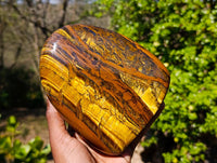 Polished Tigers Eye Standing Free Form x 1 From South Africa
