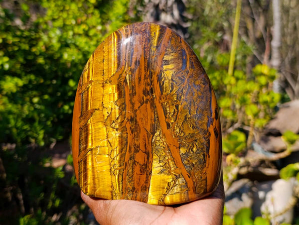 Polished Tigers Eye Standing Free Form x 1 From South Africa