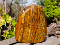 Polished Tigers Eye Standing Free Form x 1 From South Africa