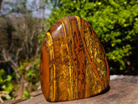 Polished Tigers Eye Standing Free Form x 1 From South Africa