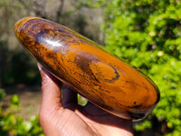Polished Tigers Eye Standing Free Form x 1 From South Africa
