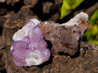 Natural Amethyst Spirit Quartz Crystals x 20 From South Africa