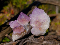 Natural Amethyst Spirit Quartz Crystals x 20 From South Africa