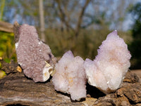 Natural Amethyst Spirit Quartz Crystals x 20 From South Africa