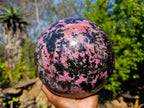 Polished Rhodonite Sphere x 1 From Madagascar - Toprock Gemstones and Minerals 