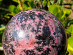 Polished Rhodonite Sphere x 1 From Madagascar - Toprock Gemstones and Minerals 