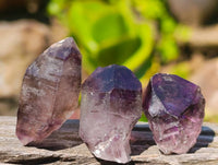 Natural Window Amethyst Crystals x 35 From Chiredzi, Zimbabwe