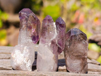 Natural Window Amethyst Crystals x 35 From Chiredzi, Zimbabwe
