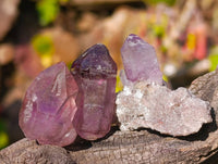Natural Window Amethyst Crystals x 35 From Chiredzi, Zimbabwe