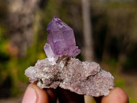 Natural Window Amethyst Crystals x 35 From Chiredzi, Zimbabwe