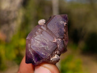 Natural Window Amethyst Crystals x 35 From Chiredzi, Zimbabwe