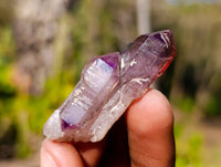 Natural Window Amethyst Crystals x 35 From Chiredzi, Zimbabwe