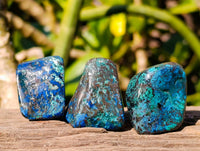 Polished Shattuckite Free Forms x 35 From Congo