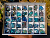 Polished Shattuckite Free Forms x 35 From Congo