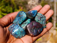Polished Shattuckite Free Forms x 35 From Congo
