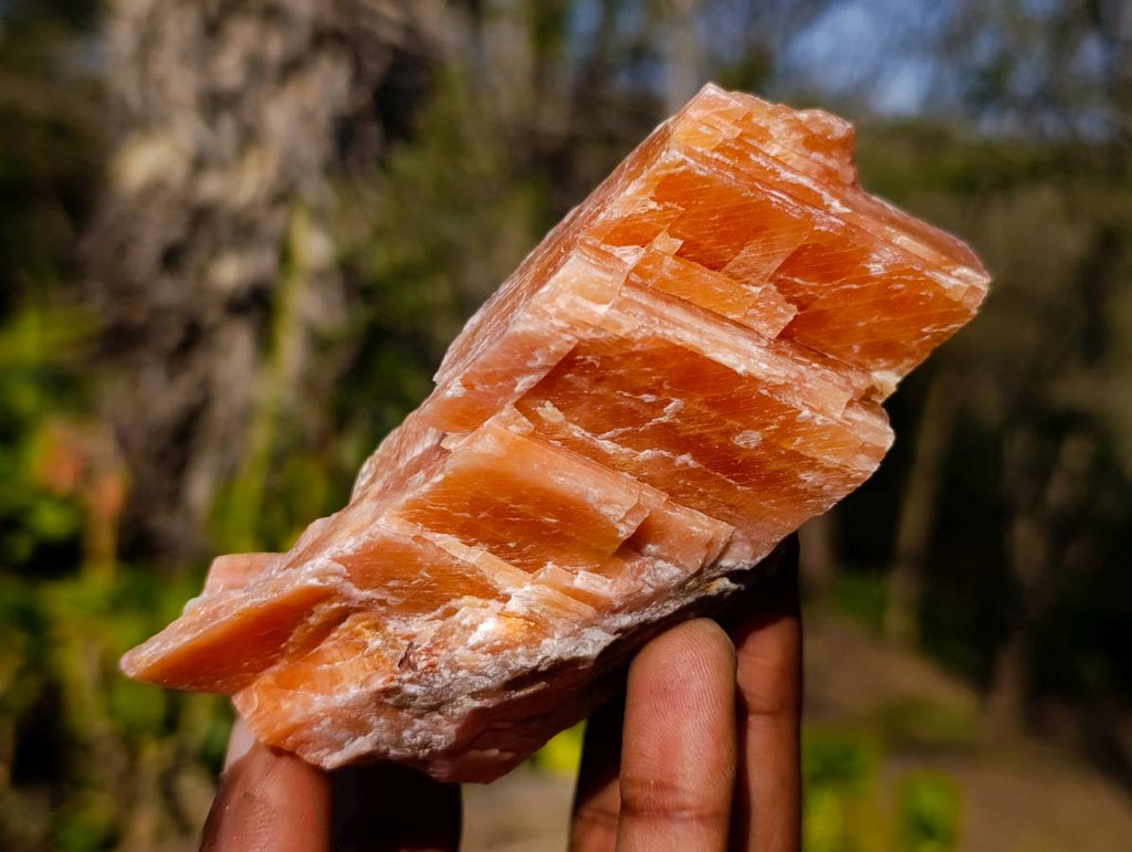 Natural Sunset Orange Calcite Specimens x 6 From Spitzkop, Namibia - Toprock Gemstones and Minerals 