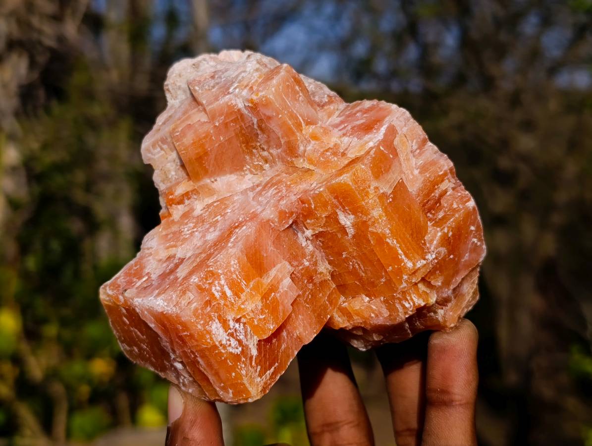 Natural Sunset Orange Calcite Specimens x 6 From Spitzkop, Namibia - Toprock Gemstones and Minerals 