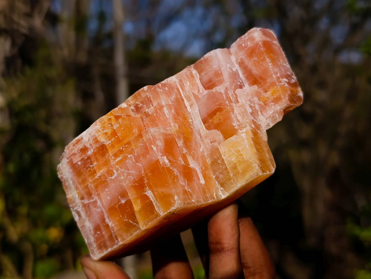 Natural Sunset Orange Calcite Specimens x 6 From Spitzkop, Namibia - Toprock Gemstones and Minerals 