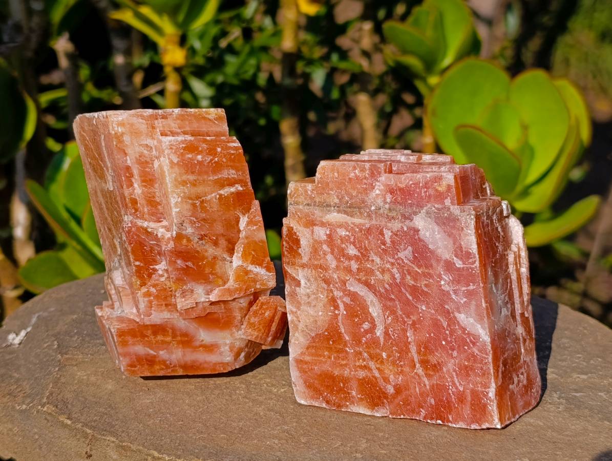 Natural Sunset Orange Calcite Specimens x 6 From Spitzkop, Namibia - Toprock Gemstones and Minerals 