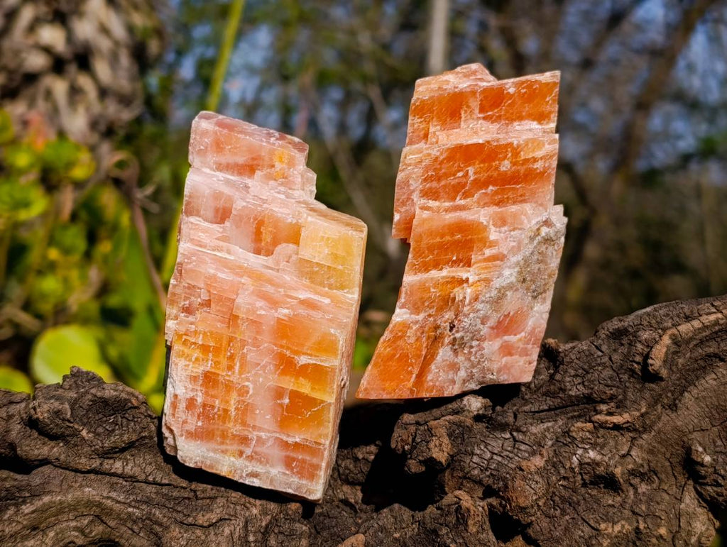 Natural Sunset Orange Calcite Specimens x 6 From Spitzkop, Namibia - Toprock Gemstones and Minerals 