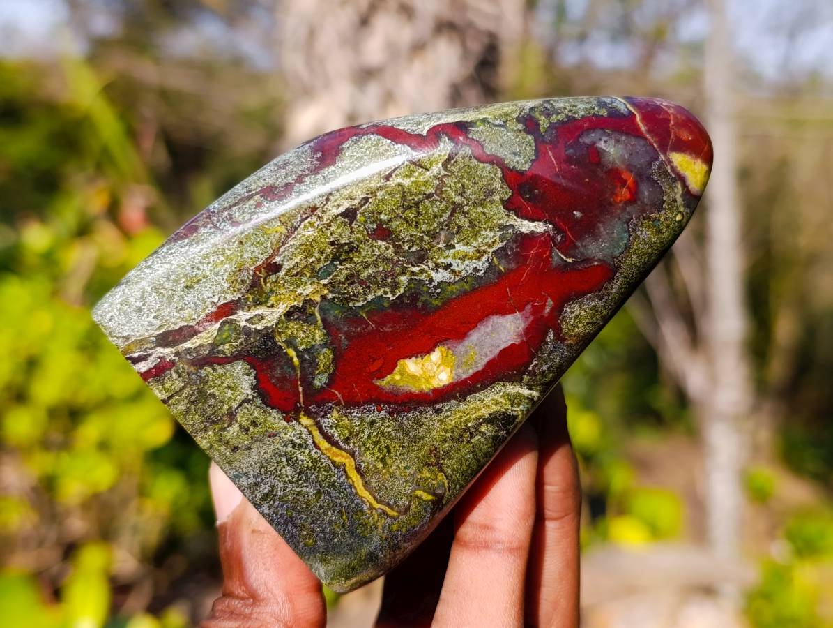 Polished Bastite Dragon Bloodstone Standing Free Forms x 4 From South Africa - Toprock Gemstones and Minerals 