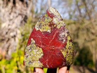 Polished Bastite Dragon Bloodstone Standing Free Forms x 4 From South Africa