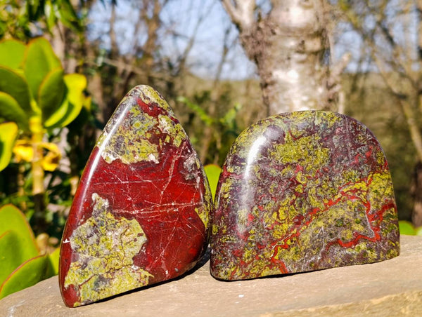 Polished Bastite Dragon Bloodstone Standing Free Forms x 4 From South Africa