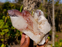 Natural Hematoid Quartz Clusters x 2 From Zimbabwe