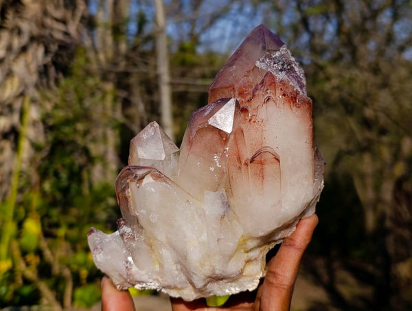 Natural Hematoid Quartz Clusters x 2 From Zimbabwe