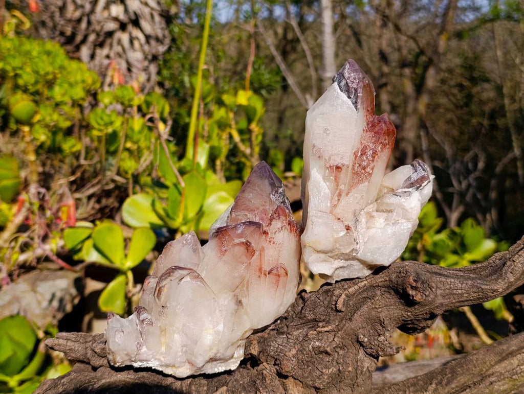 Natural Hematoid Quartz Clusters x 2 From Zimbabwe - Toprock Gemstones and Minerals 
