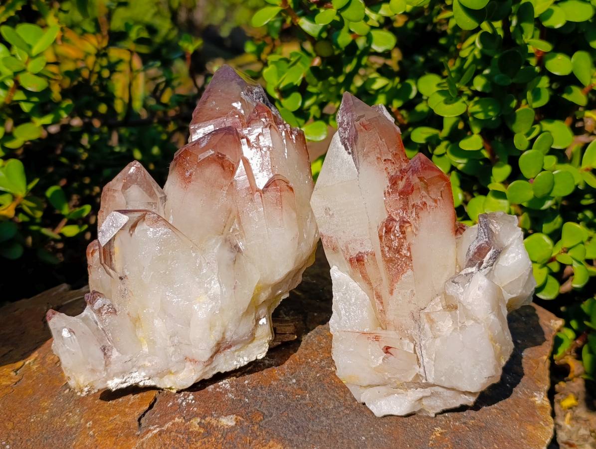 Natural Hematoid Quartz Clusters x 2 From Zimbabwe - Toprock Gemstones and Minerals 