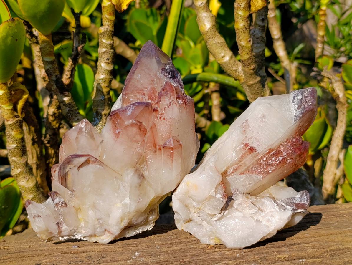 Natural Hematoid Quartz Clusters x 2 From Zimbabwe - Toprock Gemstones and Minerals 