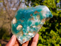 Polished On One Side Emerald Mtorolite x 6 From Mutorashanga, Zimbabwe