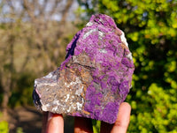 Natural Metallic Purpurite Specimens x 6 From Erongo, Namibia
