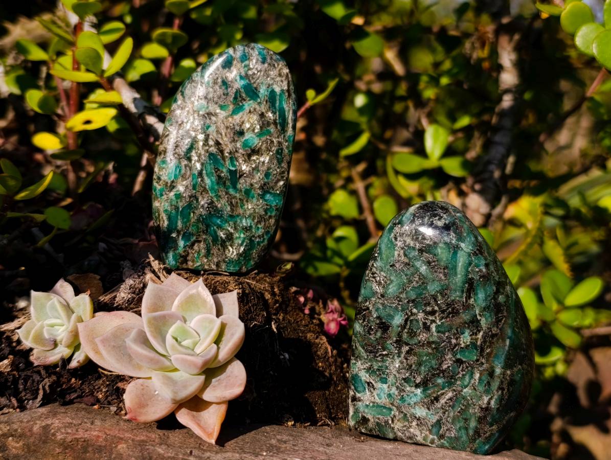 Polished Emerald Mica 'Mutokolite' Standing Free Forms x 3 From Mutoko, Zimbabwe - Toprock Gemstones and Minerals 