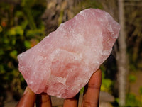 Natural Pink Rose Quartz Cobbed Specimens x 13 From North Cape, South Africa