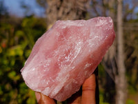 Natural Pink Rose Quartz Cobbed Specimens x 13 From North Cape, South Africa