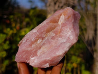 Natural Pink Rose Quartz Cobbed Specimens x 13 From North Cape, South Africa