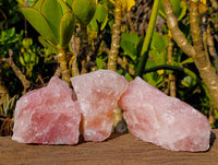 Natural Pink Rose Quartz Cobbed Specimens x 13 From North Cape, South Africa