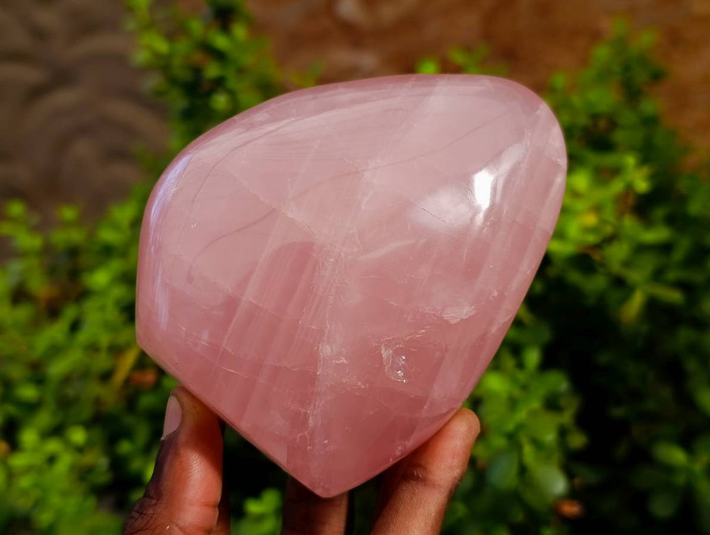 Polished Rose Quartz Standing Free Forms x 2 From Madagascar - Toprock Gemstones and Minerals 