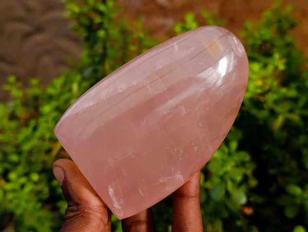 Polished Rose Quartz Standing Free Forms x 2 From Madagascar